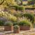 Set of 3 Raised Garden Planters Rust Metal Planting Rings 30cm, 40cm & 60cm Diameter  - view 1