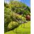 Metal Garden Arch Rose Trellis - view 1