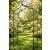 Metal Arch Rose Climber Frame - view 2
