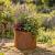 Natural  Rust Steel Circular Garden Planter Ring 30cm x 30cm  - view 1