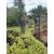 Metal Garden Arch Rose Trellis Black - view 4