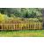 Large Picket Fence Panels Set of 8 - view 1