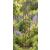 120cm Garden Obelisk - Bird and Leaf Design - view 2