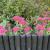 Log Roll Gardening Wood Edging Black 200mm High - view 2