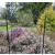 SPIRAL TRELLIS - 2m - view 2