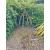 Rusted Regal Heavy Duty Garden Obelisk - view 2
