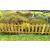 Large Picket Fence Panels Set of 2 - view 4