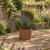 Natural  Rust Steel Circular Garden Planter Ring 30cm x 30cm  - view 3