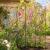 Arched Lattice Garden Folding Trellis 140cm wide - view 1
