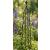 1.2m Bicton Garden Obelisk - view 2