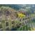 Picket Fence Panels Set of 8 - view 4