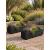 Pair of Black Wooden Garden Trough Planters Flower & Herb Boxes 80x23x22cm - view 1