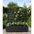 Contemporary Black Garden Planter with Climbing Trellis Frame  (L)100cmx(H)94cm  - view 3