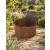 Large Rust Metal Round Garden Planter Ring 60cm x 30cm - view 2