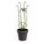 Decorative Butterfly Garden Trellises Plant Supports for Pots Set of 2 - view 3
