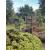 Garden Black Arch with Gates Archway - view 4