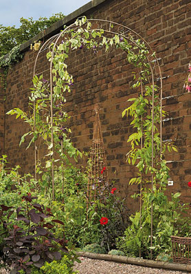 Garden Arch Nature