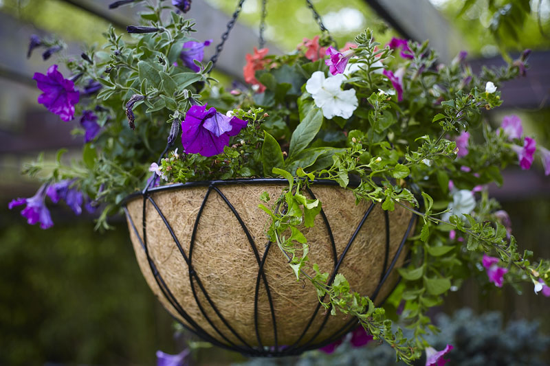 UK Garden Supplies 12" Original Hanging Basket