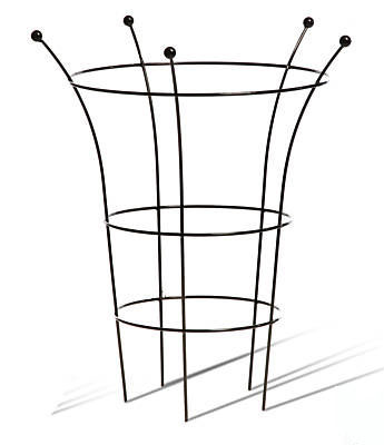 We also sell Metal Herbaceous Supports