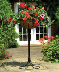 Flower Jardiniere Planter