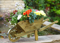 Large Wheelbarrow Planter