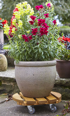 Round Wood Pot Stand on Wheels - burntwood finish