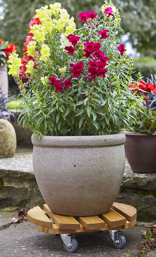 Round Wood Pot Stand on Wheels - burntwood finish