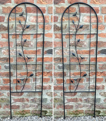 Wall Climbing Plants Trellises 140cm Set of 2