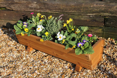 Rosemoor  Wooden Trough Planter