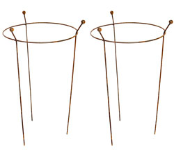 Rusty Metal Round Ring Supports Set of 2