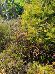 Heavy Duty 54cm Natural Rusty Peony Support - 5 Leg.