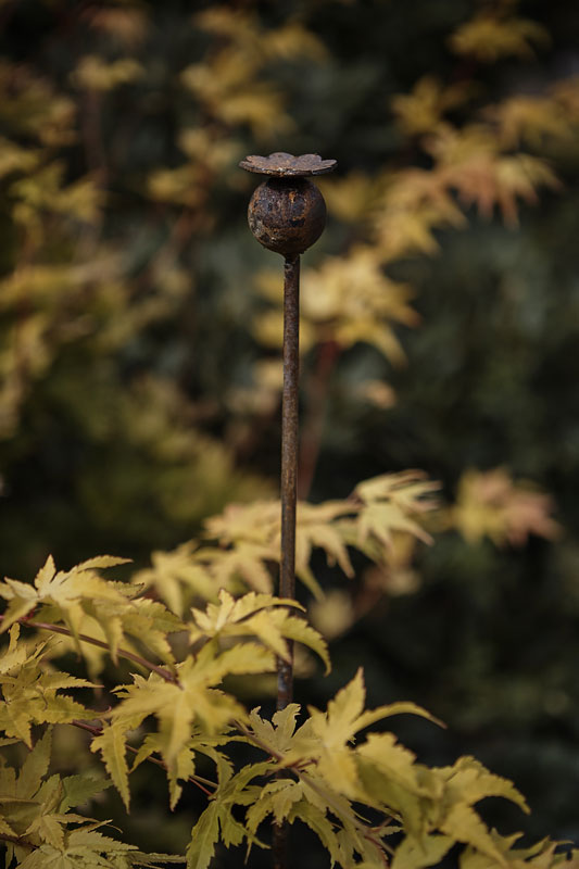 Rusty Poppy Plant Stake