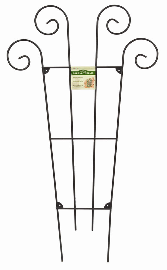 Large Scroll Metal Trellis