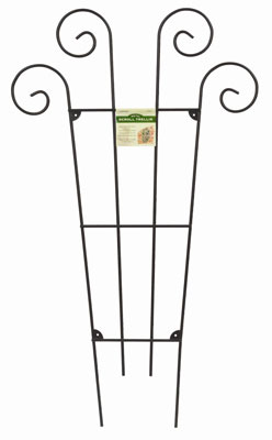 Scroll Metal Trellis