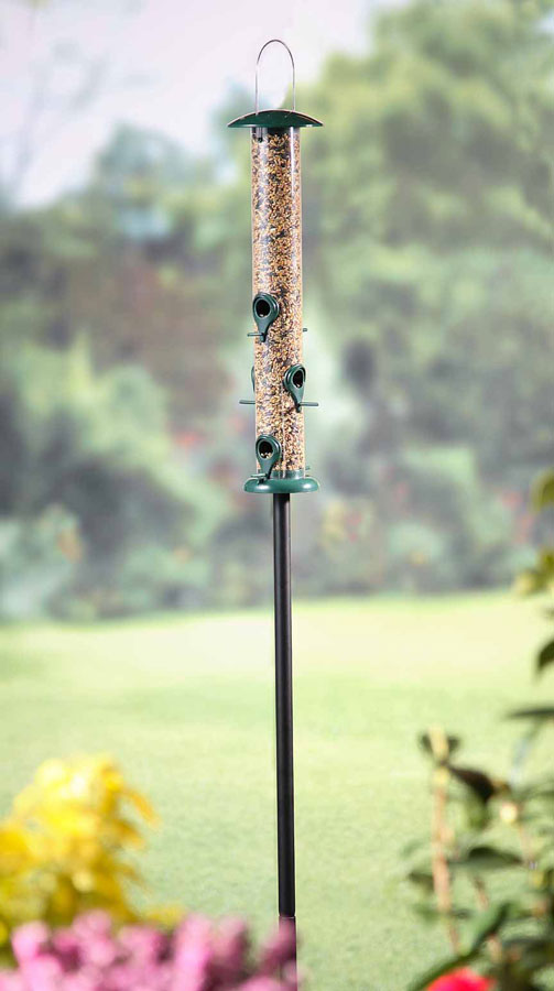 Bird Seed Feeding Station