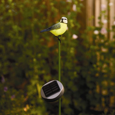 Solar Illuminated Blue Tit