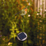 Solar Illuminated Robin