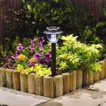 Solar Garden Light