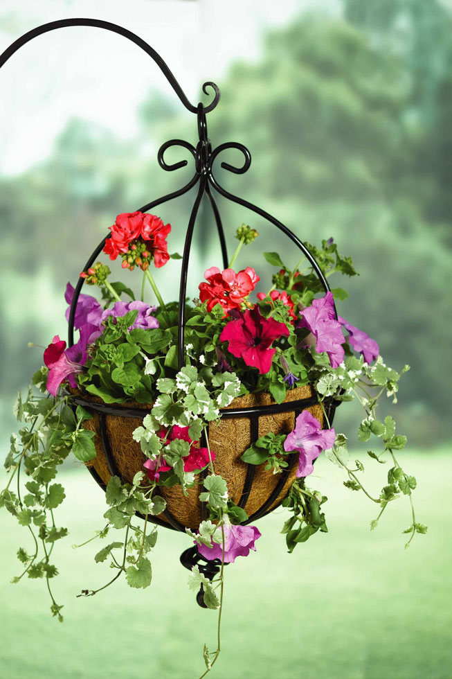 Spanish Hanging Basket