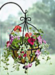 Spanish Hanging Flower Basket