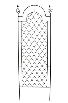 Metal Garden Trellis