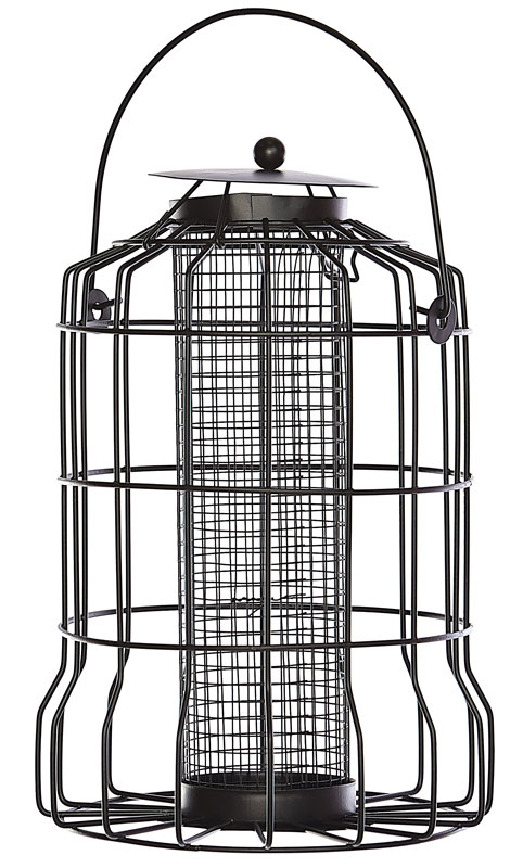 Squirrel Proof Peanut Feeder