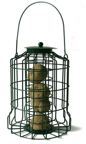 Squirrel Proof Fat Ball Feeder