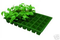 Seed Tray Inserts - 24