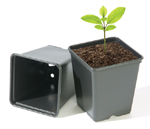 9cm Vegetable Square Pots