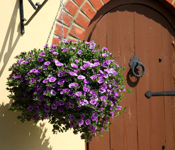 See The Full Victorian Range of Planters