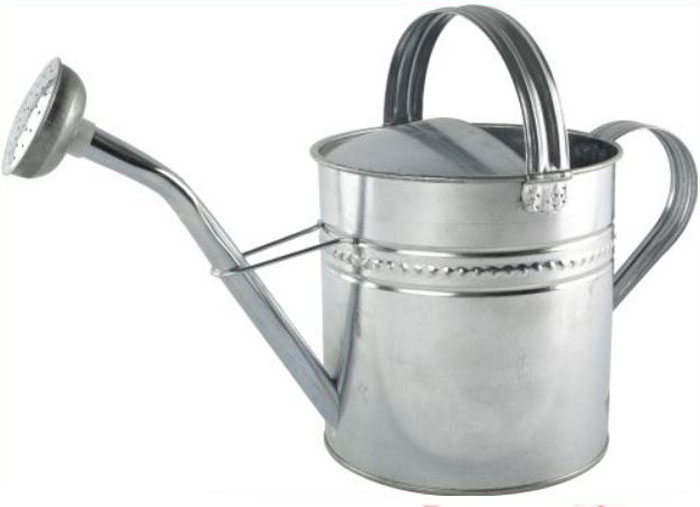 10L Traditional Watering Can