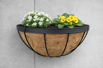 Georgian Wall Manger 40cm (16