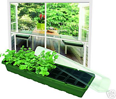 Windowsill Greenhouse