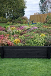 Decorative Lawn Edging Wooden Garden Boundary Border 4 Board 100cm Long